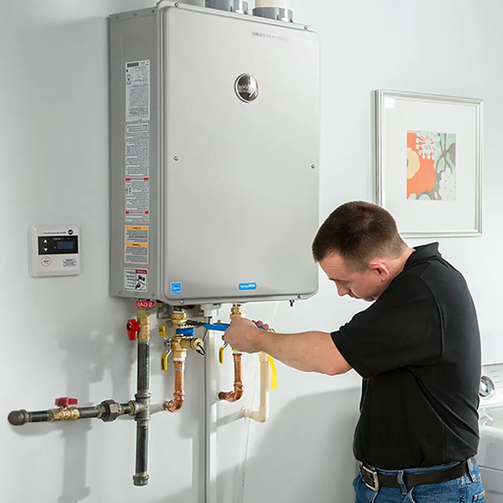 tankless water heater repair in Bristow, NE